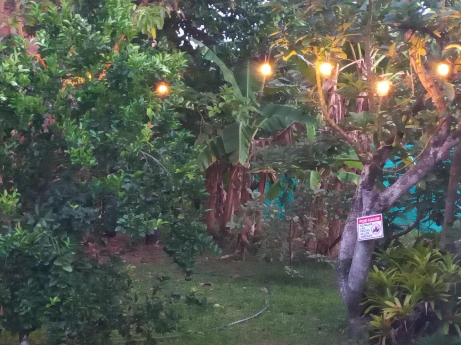 Las Orquideas Rozo Luaran gambar